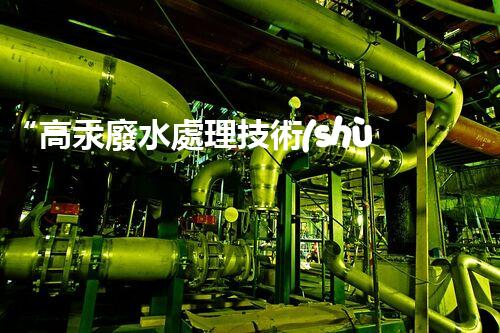 “高汞廢水處理技術(shù)，綠色環(huán)保新篇章”